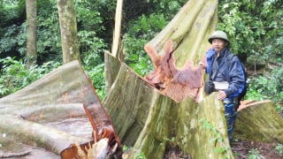Những lần dấn thân vào nơi lành ít, dữ nhiều
