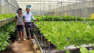 ‘Quả ngọt’ ở Trà Tân