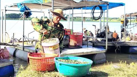 Mưu sinh dưới lòng hồ thủy điện