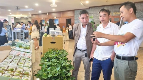 Chuẩn hóa chất lượng nông sản, mở đường vào thị trường Trung Quốc