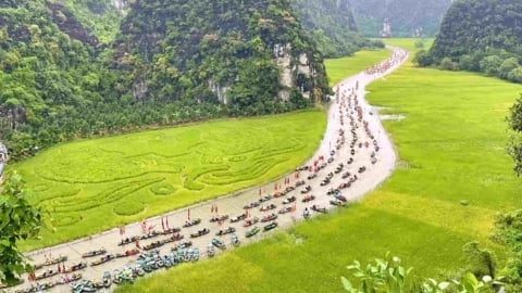 Khai mạc Tuần du lịch Ninh Bình 2025: Rực rỡ sắc vàng trên dòng Ngô Đồng