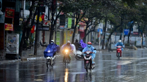 Thời tiết nông vụ ngày 8/6/2026: Bắc Bộ đón mưa lớn vào chiều tối và đêm