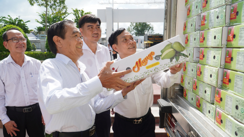 2 tấn xoài tượng da xanh Cần Thơ lần đầu tiên xuất khẩu sang Úc, Mỹ