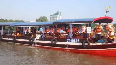 Cần Thơ thả 100.000 con cá về tự nhiên