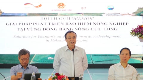 Bảo hiểm nông nghiệp: Gian nan từ khi thí điểm
