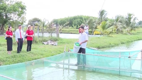 Vững bước lập nghiệp ở vùng biên nhờ nguồn vốn Agribank