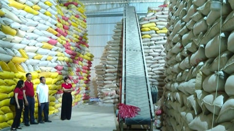 Nguồn vốn Agribank giúp nông dân đầu tư hạ tầng, phát triển sản xuất