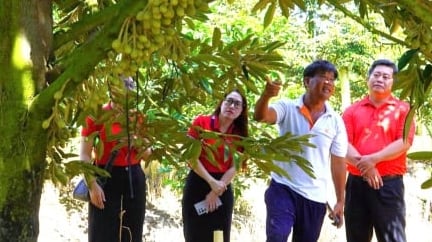 Thầy giáo ‘bén duyên’ với nông nghiệp công nghệ cao, nhờ Agribank tiếp sức