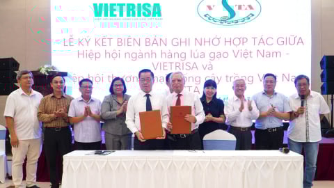 VIETRISA và VSTA hợp tác phát triển ngành giống lúa Việt Nam