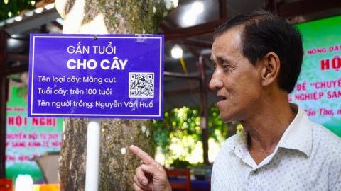 'Gắn tuổi cho cây' để kể chuyện làm nông