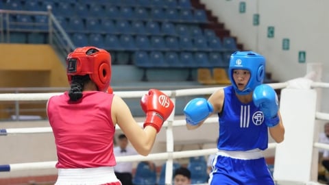 Boxing Hà Nội thắng áp đảo tại giải trẻ toàn quốc 2026