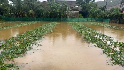 Đà Nẵng: Mưa lũ bất thường, người dân khóc nghẹn vì ‘mất trắng’
