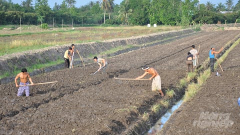 Đất đồng bằng sông Cửu Long hiện nay