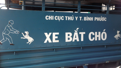 Đội bắt chó và nỗi ái ngại thú cưng