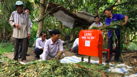 Phương pháp ủ chua dự trữ thức ăn xanh
