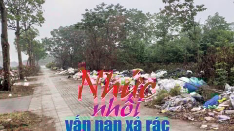 Nhức nhối vấn nạn xả rác