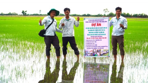 Quản lý sản xuất lúa hữu cơ, giảm phát thải qua vệ tinh