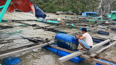 Sớm khôi phục nuôi trồng thủy sản sau bão