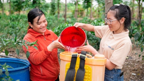 Tây Nguyên xanh lên nhờ phụ nữ làm nông bền vững