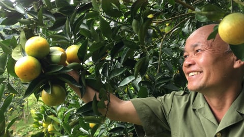 Hành trình từ đất dốc đến những mùa quả ngọt: [Bài 3] Hiện thực hóa khát vọng trung tâm chế biến nông sản vùng Tây Bắc