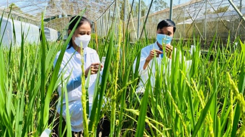 Nghị quyết 57: Cơ hội và trách nhiệm đổi mới