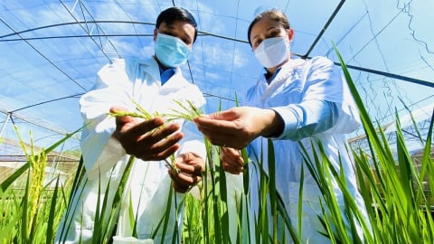 5 giải pháp trọng tâm, đột phá về KHCN ngành nông nghiệp và môi trường