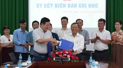 Hợp tác nghiên cứu và chuyển giao công nghệ canh tác sầu riêng