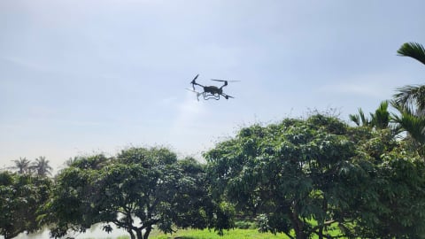 Vải chín sớm Phương Nam 'cất cánh' cùng thiết bị bay