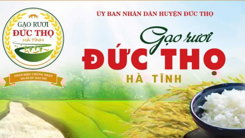 Chắp cánh thương hiệu 'gạo rươi Đức Thọ'