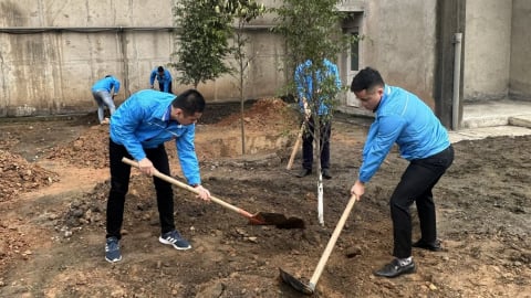 Lào Cai trồng thêm hơn 27 nghìn cây xanh tại huyện Văn Bàn