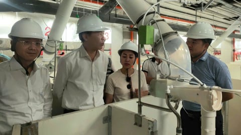 Tăng hiệu suất sử dụng đất nhờ mô hình trại lợn nhiều tầng