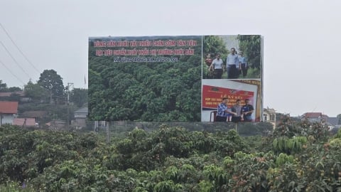 'Vũ khí mềm' giúp vải Tân Yên vượt rào cản kỹ thuật