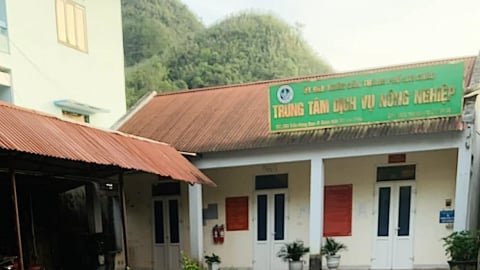 Lai Châu tổ chức lại các trung tâm dịch vụ nông nghiệp