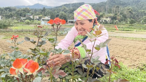 Những biểu tượng làm giàu bền vững giữa núi rừng Tây Bắc