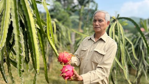 Chuyển đổi cây trồng - hướng đi chiến lược của Lào Cai