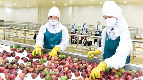 Hết thời đi vòng, chanh leo, ớt tươi nhập cuộc chơi hậu kiểm quốc tế