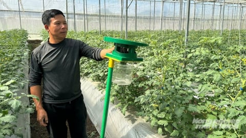 Để Mộc Châu trở thành 'Đà Lạt thứ hai'