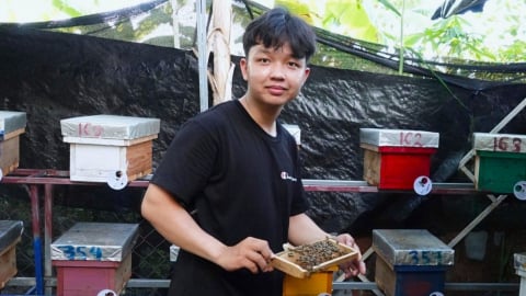 Chàng trai 22 tuổi mỗi tháng ẵm 20 triệu đồng nhờ nuôi ong chúa giống