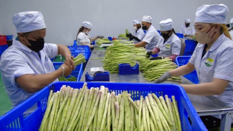Nông nghiệp vùng 'đất khát' bứt phá nhờ ứng dụng công nghệ cao