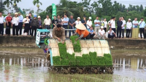 'Cánh đồng công nghệ' - lời giải cho bài toán tăng trưởng xanh