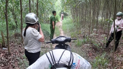 Quảng Ngãi: Xử phạt nhiều trường hợp vứt xác lợn nhiễm bệnh ra môi trường