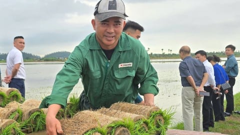 Làm chủ cánh đồng 50 hecta bằng công nghệ hiện đại