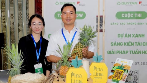 Biến phụ phẩm từ dứa thành sản phẩm độc đáo