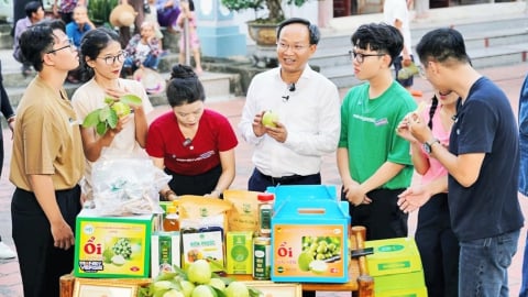 Phó Chủ tịch tỉnh Bắc Ninh livestream bán nông sản lần thứ hai