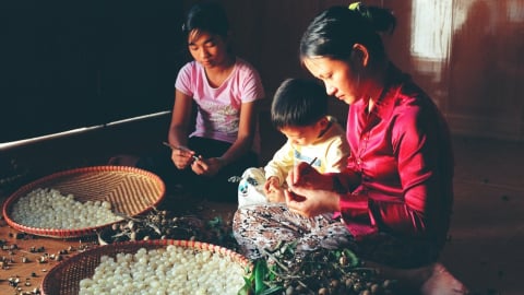 Hưng Yên - xứ nhãn