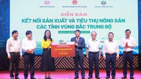 Báo Nông nghiệp và Môi trường hướng về vùng lũ Nghệ An