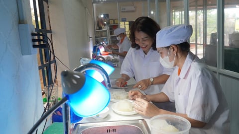 Chăm sóc đàn chim bằng sự tận tâm