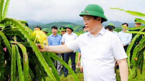 Nông nghiệp và môi trường dẫn dắt tăng trưởng xanh