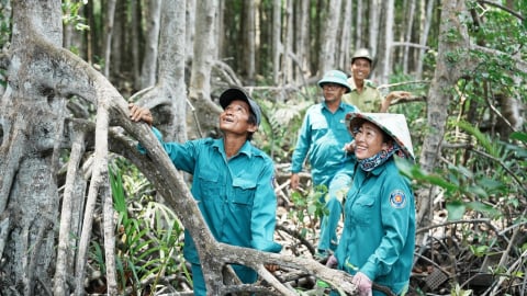 Cần Giờ - Lời thì thầm của rừng ngập mặn