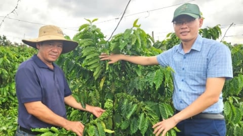 Nền tảng thuận lợi để Gia Lai lan tỏa IPHM